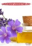 Lavender Essential Oil