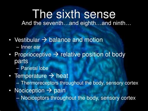 PPT - Brain Structure and Function PowerPoint Presentation - ID:262127