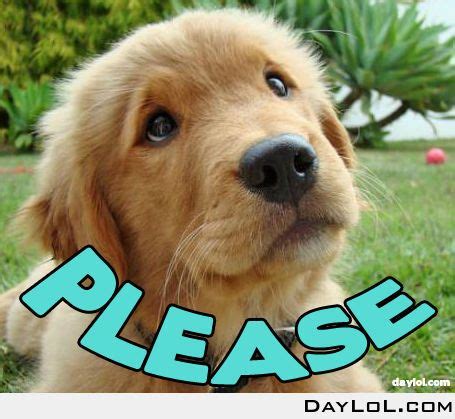 Please ... | Dogs | Pinterest