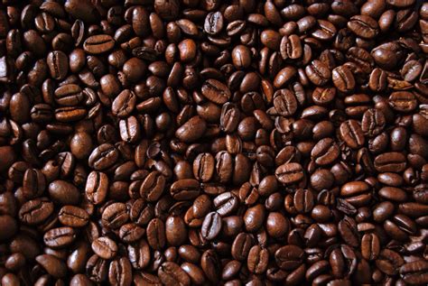 Coffee Bean Wallpapers - Top Free Coffee Bean Backgrounds - WallpaperAccess