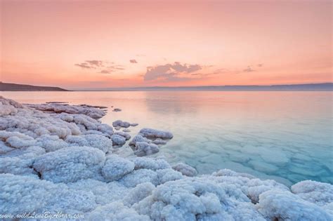 Salt Formations in 2020 | Sea pictures, Jordan dead sea, Most beautiful ...