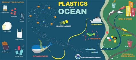 Microplastics found in sea turtle nesting sand | Earth | EarthSky