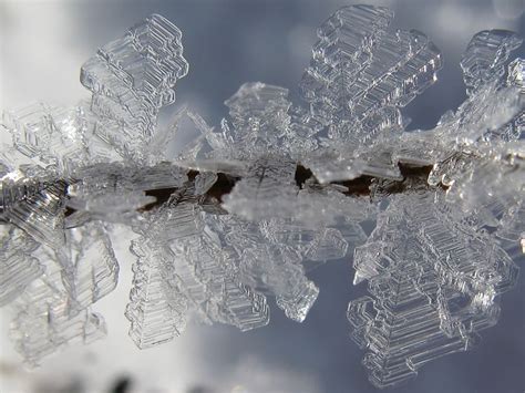 Ice crystals by DaWascht | Ice crystals, Crystal photography, Geometry in nature