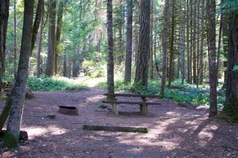 Willamette National Forest Packard Creek Campground, Oakridge, OR - GPS ...