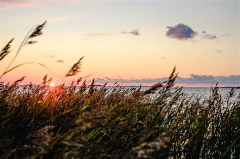 Wallpaper : ocean, sunset, sea, Sun, fall, beach, Finland, fuji, wind, windy, September ...