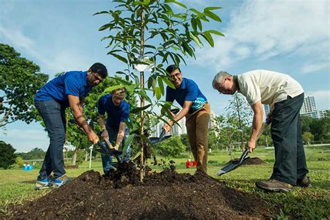 This Pune Band Plants A Tree For Every Audience Member And Has Planted 1500 Trees So Far