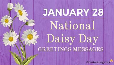 January 28 – National Daisy Day Greetings Messages, Wishes