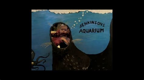 Jenkinsons Aquarium Point Pleasant, New Jersey - YouTube