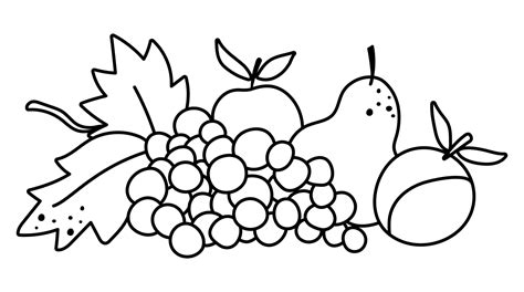 Vector black and white fruit arrangement. Cute outline horizontal set ...