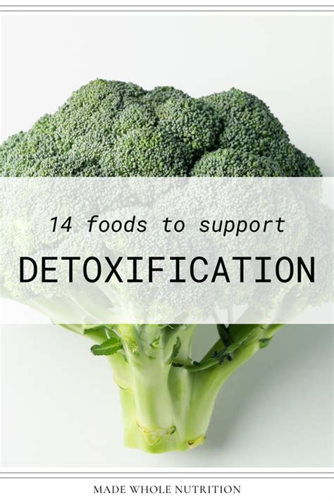 14 Foods to Support Detoxification — Functional Health Research + Resources — Made Whole Nutrition