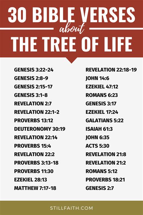 90 Bible Verses about the Tree of Life (KJV) | StillFaith.com