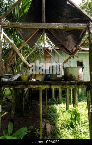 Secoya tribe at Secoya lodge Amazon basin alongside Aguarico river Tierras Orientales Ecuador ...