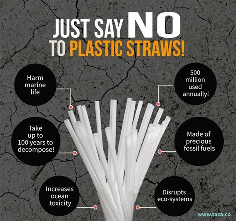 Say NO to plastic straws. #saynotoplastic #nostraws #saveourplanet # ...