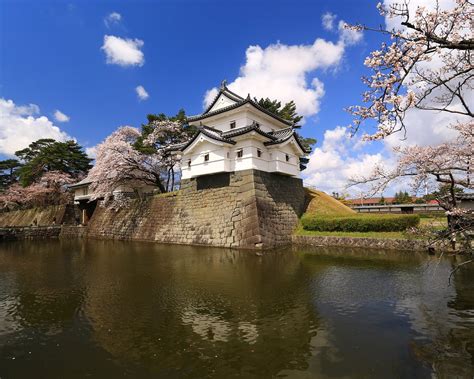 THE 15 BEST Things to Do in Shibata (2024) - Must-See Attractions