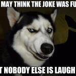 Funny Dog Meme Generator - Imgflip