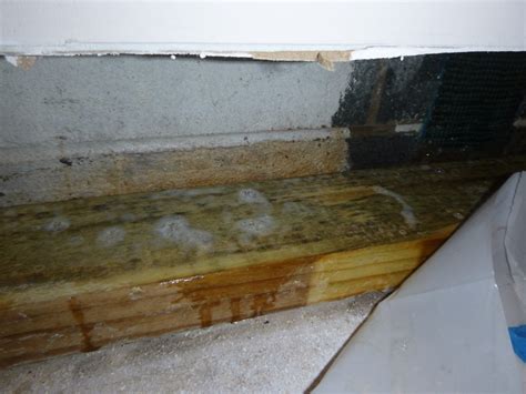 Crawl Space Mold Removal Services | Toledo OH | Sandusky OH