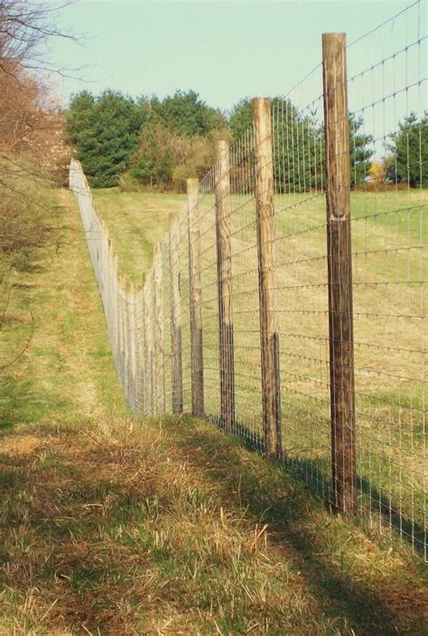 Deer Fence Installation & Design in Harrisburg, PA & Surrounding Areas | Livestock fence, Deer ...