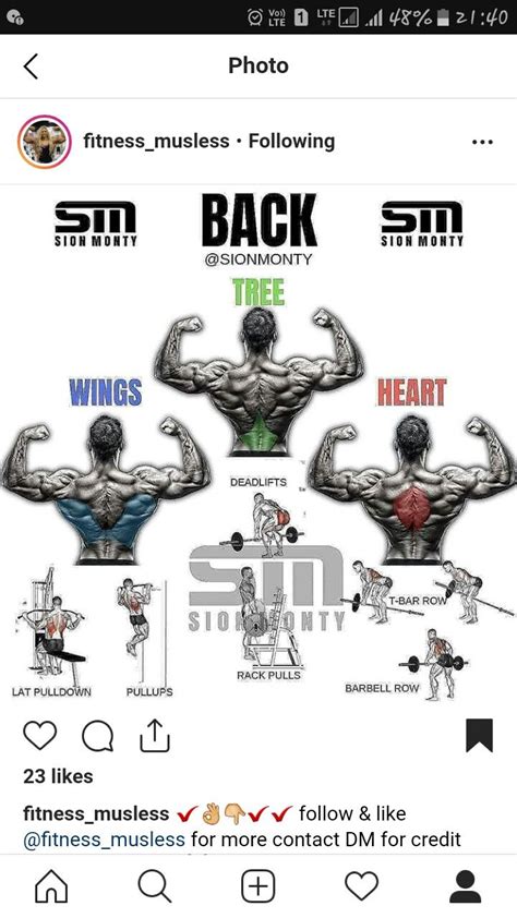 Pin by Giovanni Schaad on EJERCIOS THE ROCK/ROCKY | Back workout bodybuilding, Wings workout ...