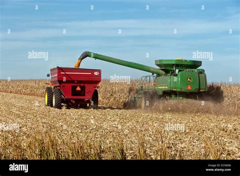 Farmer operating John Deere combine harvesting mature corn field Stock ...