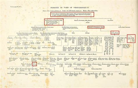 Ward Genealoy Family Tree