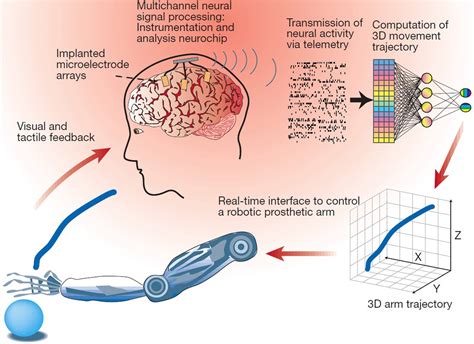 Sensori “grandi” come granelli di sale rivoluzioneranno la BCI | CUENEWS