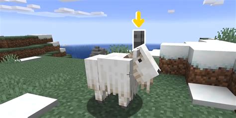 Minecraft: How to Find Goat Horns (& What They’re For)