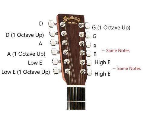 How Do 12-String Guitars Work? Everything You Need To Know – GuitarMeet