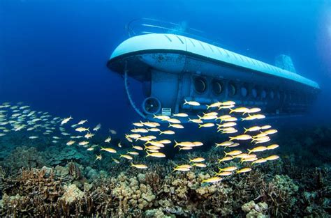 Waikiki Submarine Tour by Atlantis - Explore Shipwrecks, Sunken ...