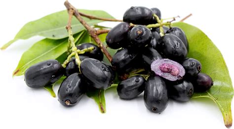 Jamun Information, Recipes and Facts