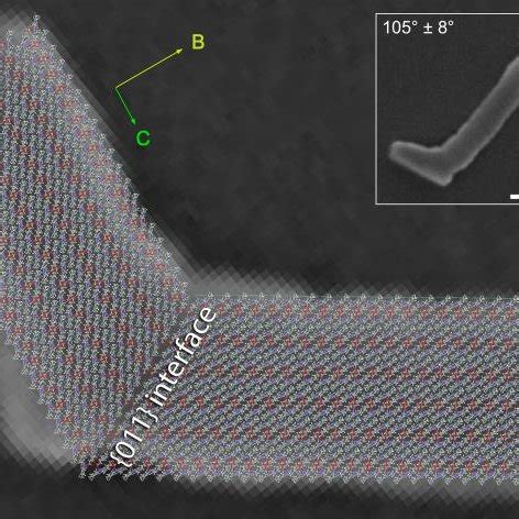 Schematic representation of the hemozoin crystal structure with the ...