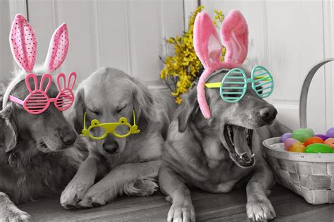 HAPPY HOT LOOK EASTER !! Unfortunately these Sunglasses are sold out !! -lol- But enjoy treating ...