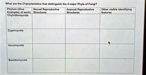 SOLVED: Text: What are the characteristics that distinguish the 4 major phyla of fungi? Phylum ...