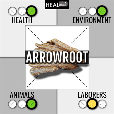 arrowroot health benefits Archives | HEALabel