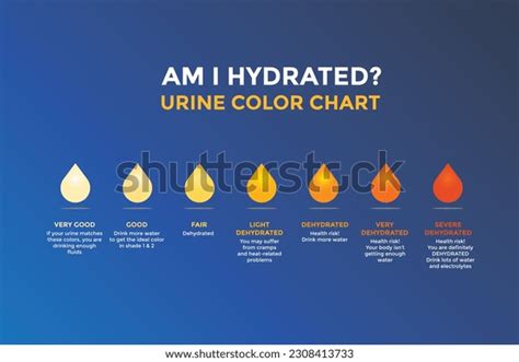 Urine Chart