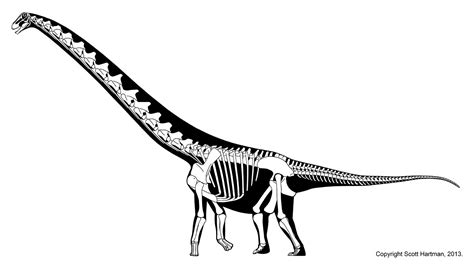 Rapetosaurus by Scott Hartman 2013 | Prehistoric creatures, Prehistoric animals, Dinosaur drawing