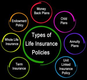 Common Life Insurance Policy Types Explained