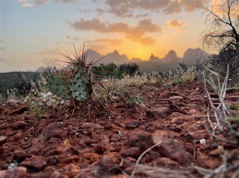 Gallery - Sedona Views Bed and Breakfast, Sedona AZ