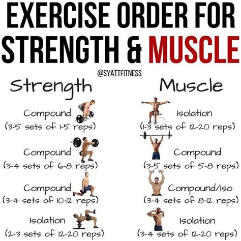 🍕EXERCISE ORDER FOR STRENGTH AND MUSCLE🍕 - 🦄Before we begin, let us ...