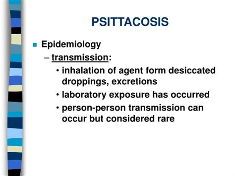 PPT - PSITTACOSIS PowerPoint Presentation - ID:61507