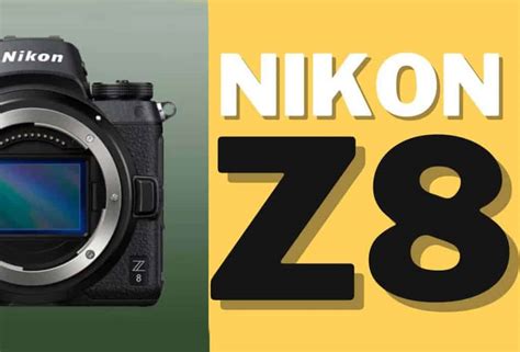 Nikon Z8 Camera | Good For Wildlife Photography? - Cool Wildlife