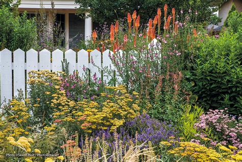 Cottage Garden Shrubs For Shade | Fasci Garden