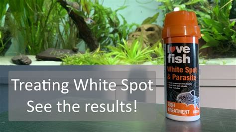 Treating White Spot in Aquariums - Love Fish White Spot & Parasite Review - YouTube