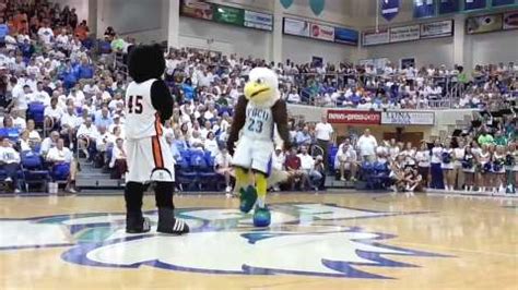 Azul the Eagle: FGCU's mascot at NCAA Tournament