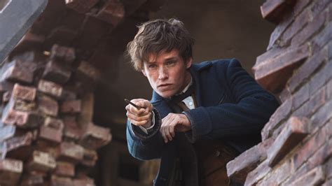 2560x1440 Eddie Redmayne In Fantastic Beasts 2016 1440P Resolution ,HD 4k Wallpapers,Images ...