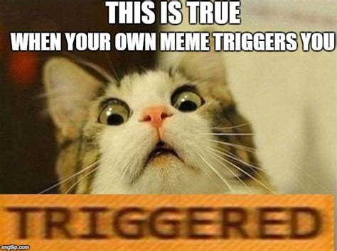 TRIGGERED - Imgflip