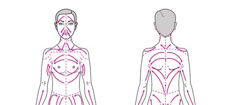 Lymphatic Drainage Massage Benefits and How to Do It - Dr. Axe