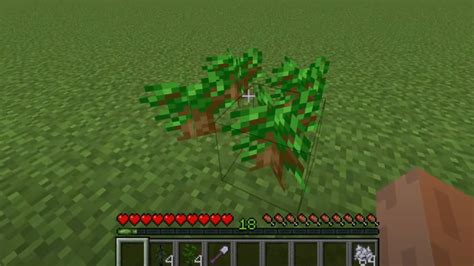 Dark oak sapling problem | CubeCraft Games