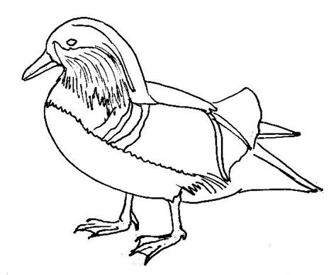 a drawing of a bird with long legs and a beak, sitting on the ground