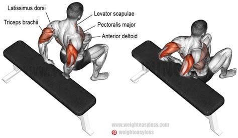 How to Tricep Dips on Bench | Exercise Videos & Guides