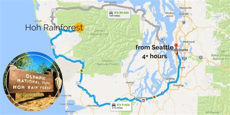 Hoh Rainforest Olympic National Park Map - 2TravelDads